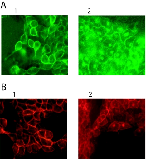 FIG. 5.