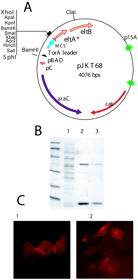 FIG. 7.