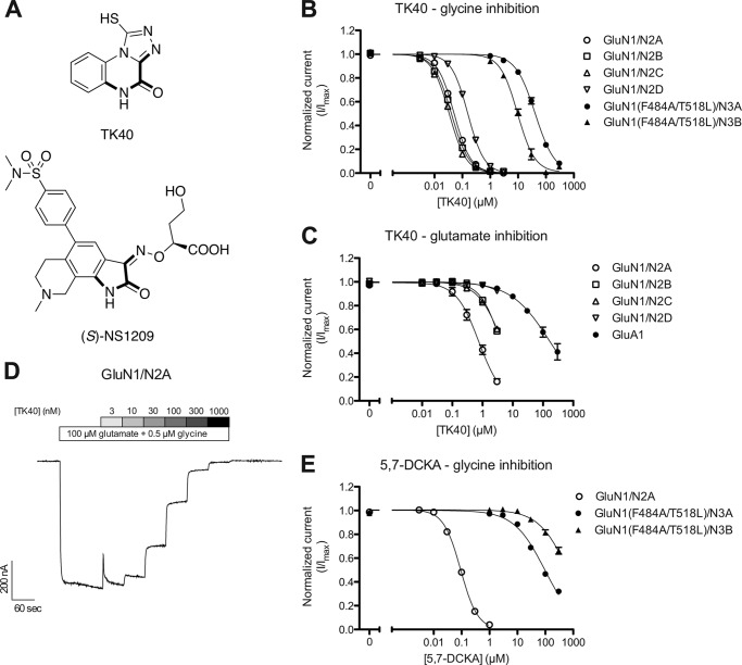 FIGURE 1.