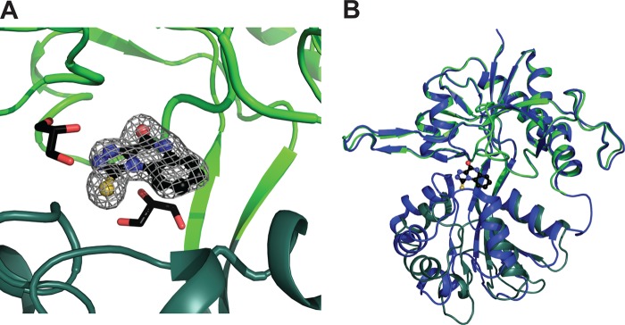 FIGURE 5.