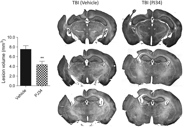 FIG. 8.