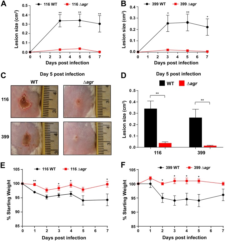 FIG 4