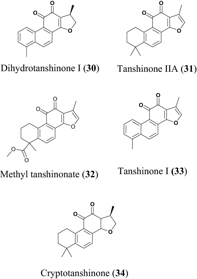 Fig. 9