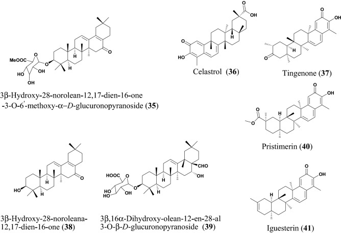 Fig. 10