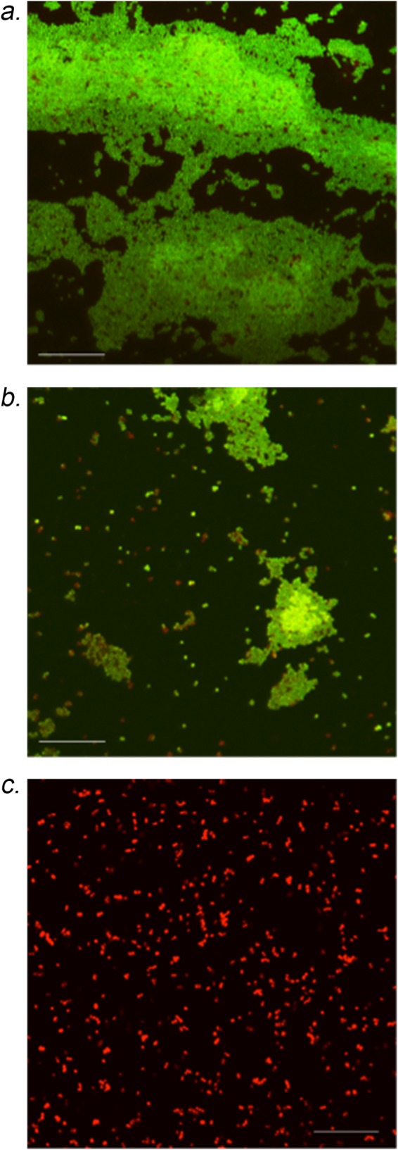 FIG 2