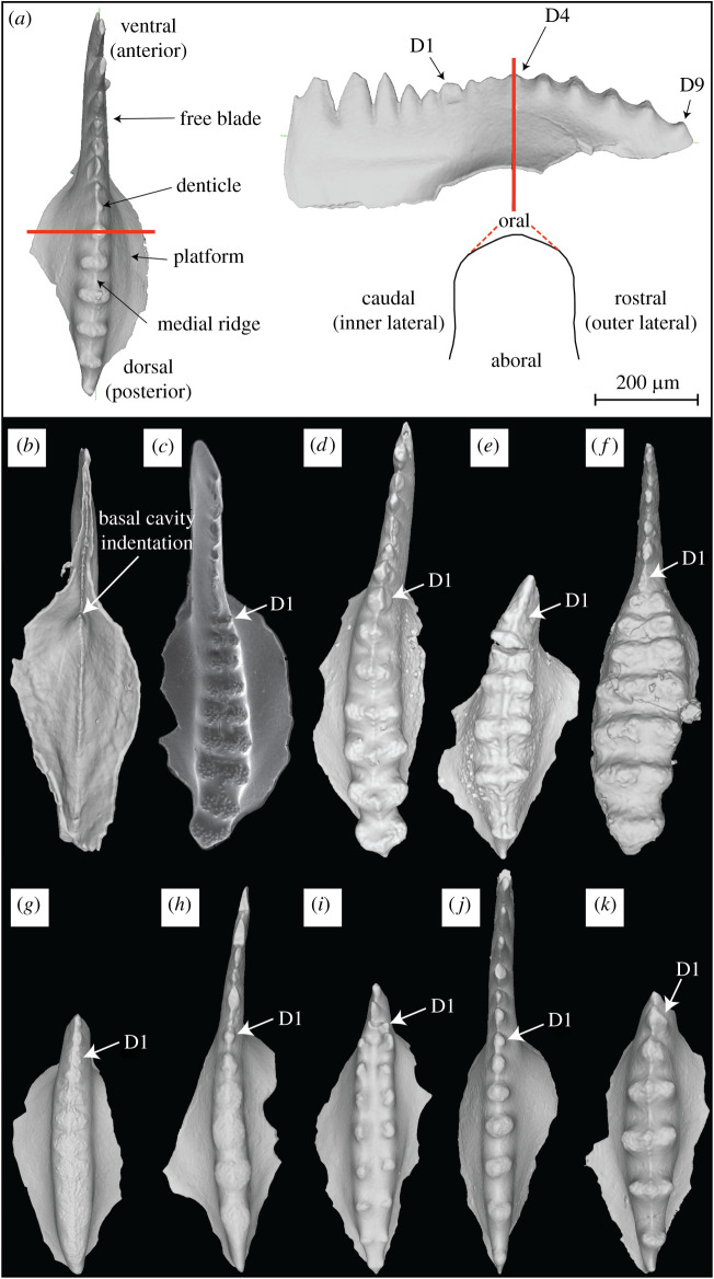 Figure 2.