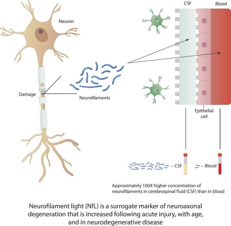 Graphical abstract