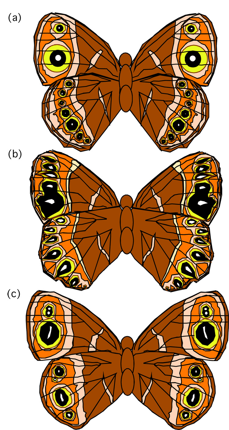 Fig. 2