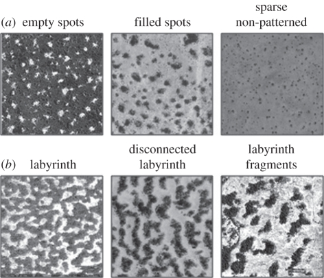 Figure 1.