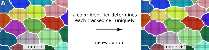 Figure 6—figure supplement 1.