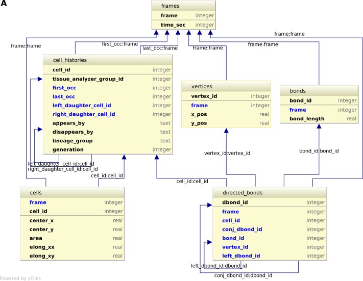 Figure 6—figure supplement 2.