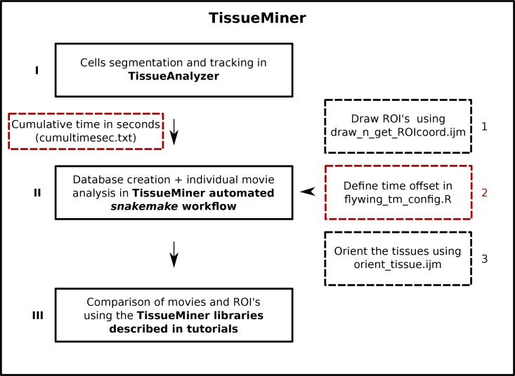 Figure 1—figure supplement 1.