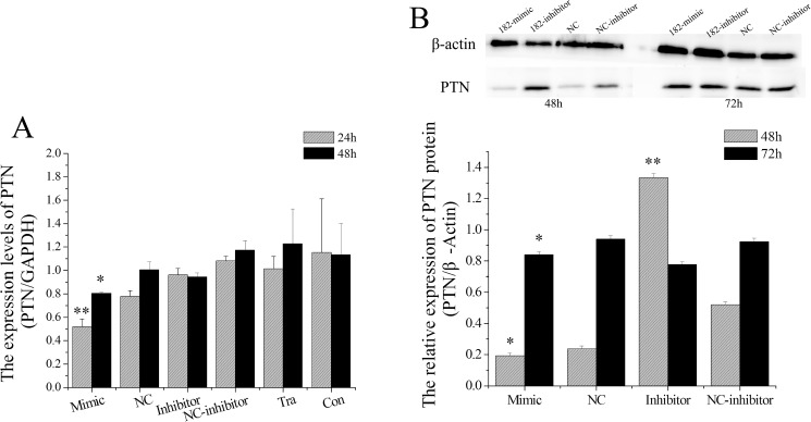 Fig 10