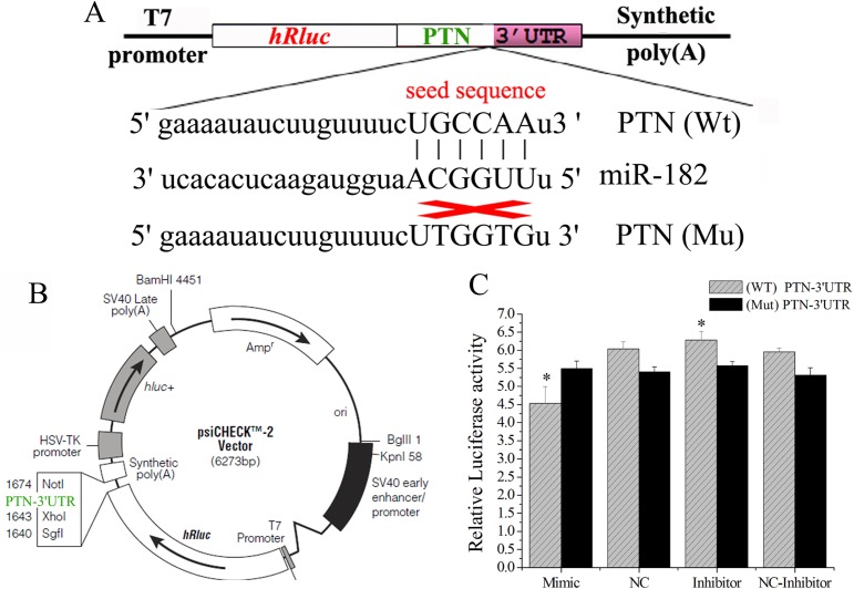 Fig 9