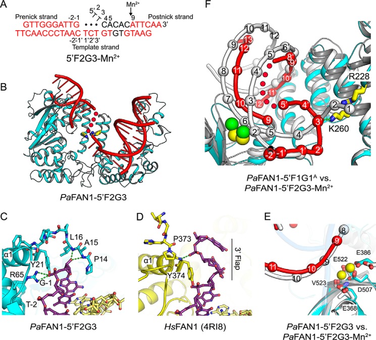 Figure 3.