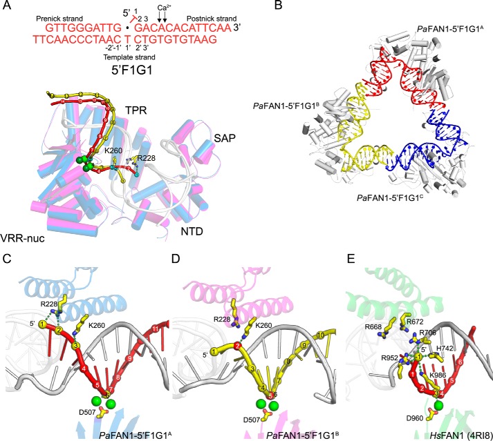 Figure 2.