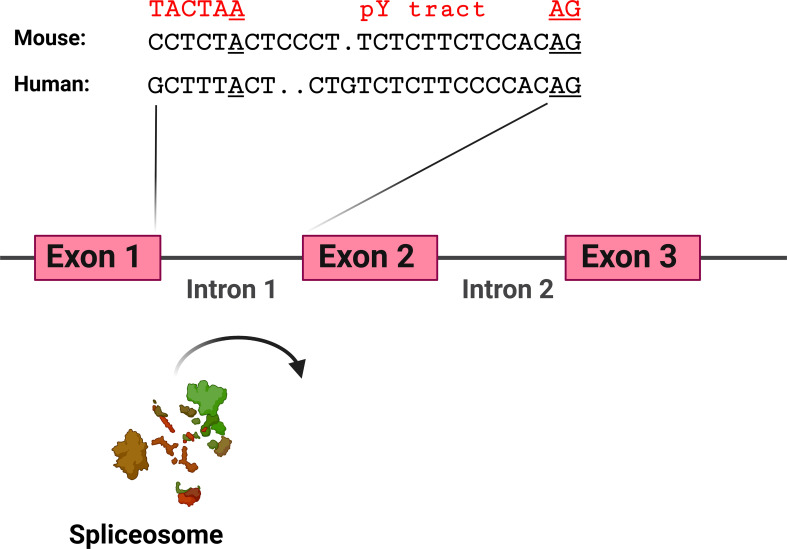 Figure 6