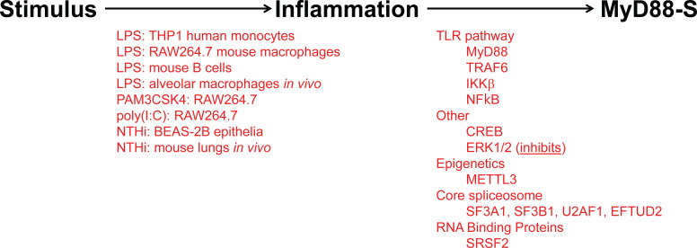 Figure 5