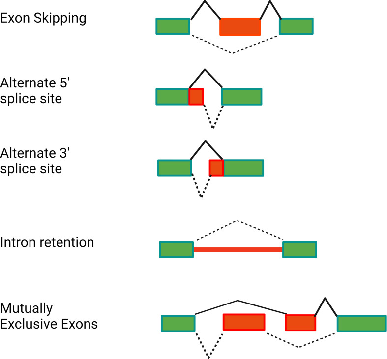 Figure 2