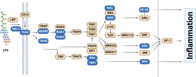 Figure 1