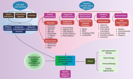 FIGURE 3