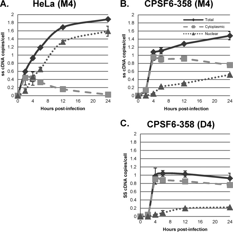 FIG 6