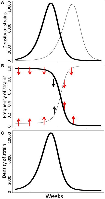 FIGURE 1 ∣