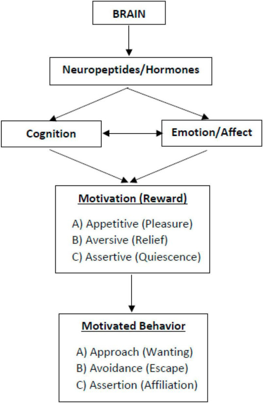 FIGURE 1