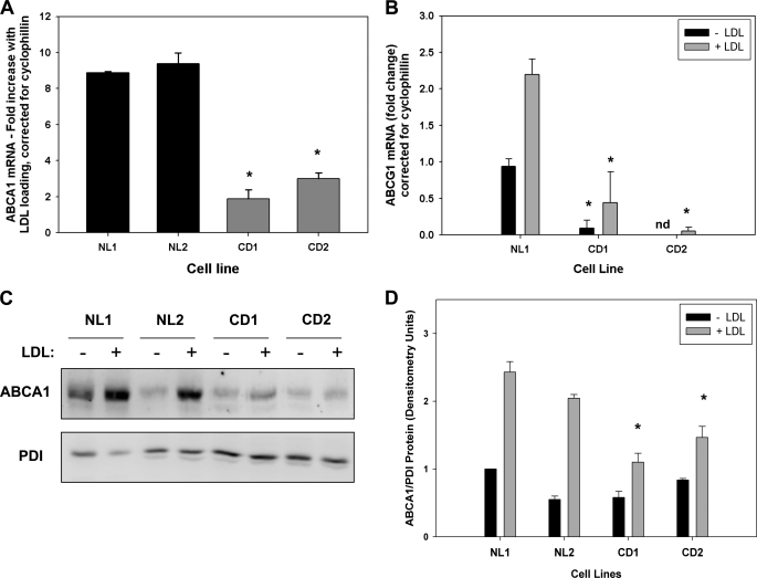 FIGURE 1.