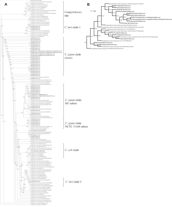 FIG 1