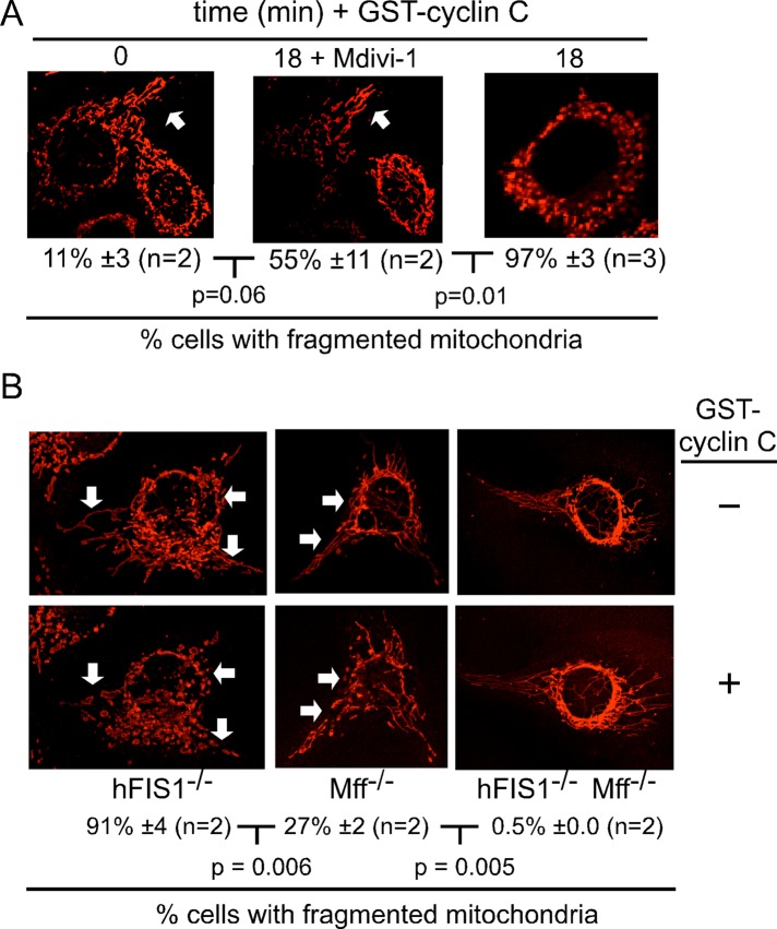 FIGURE 4: