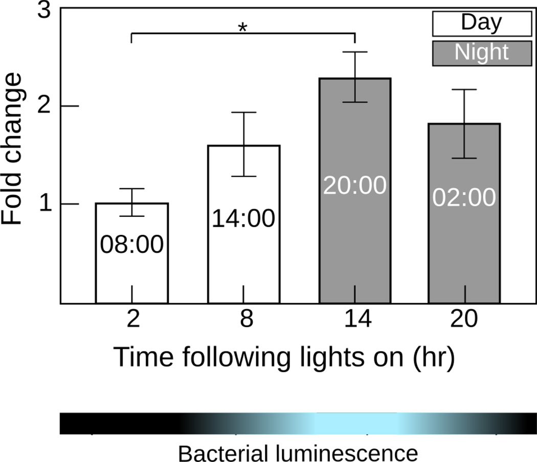 Figure 5