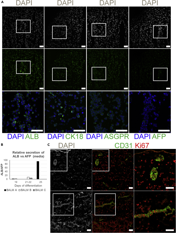 Figure 3