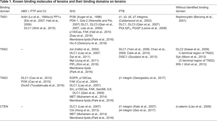 graphic file with name joces-134-254029-i1.jpg