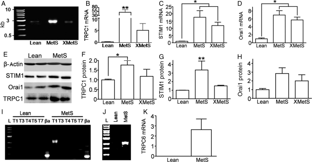 Figure 5