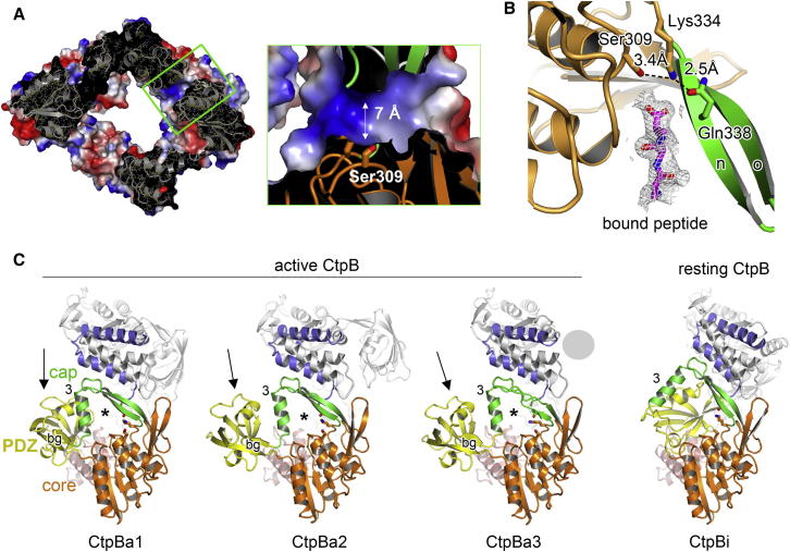 Figure 3