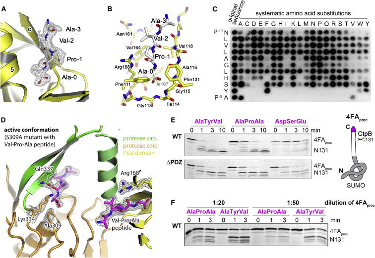 Figure 4