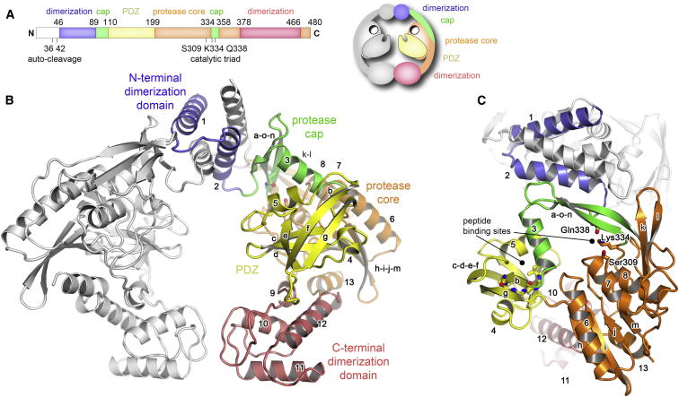 Figure 2