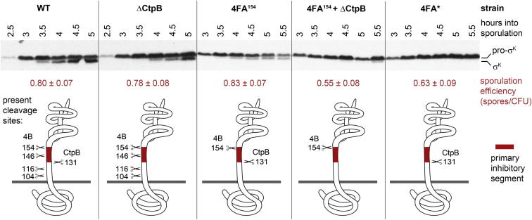 Figure 6