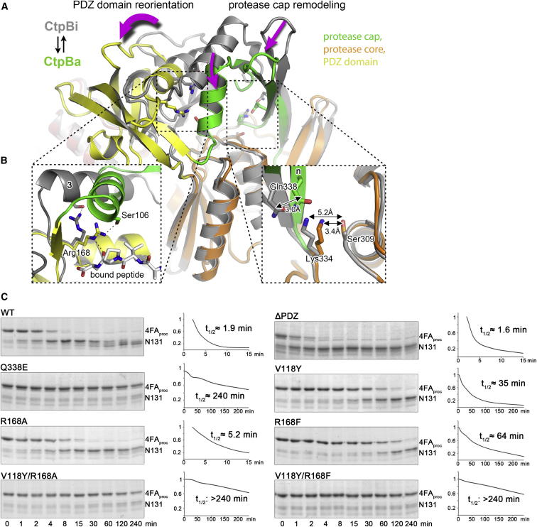 Figure 5