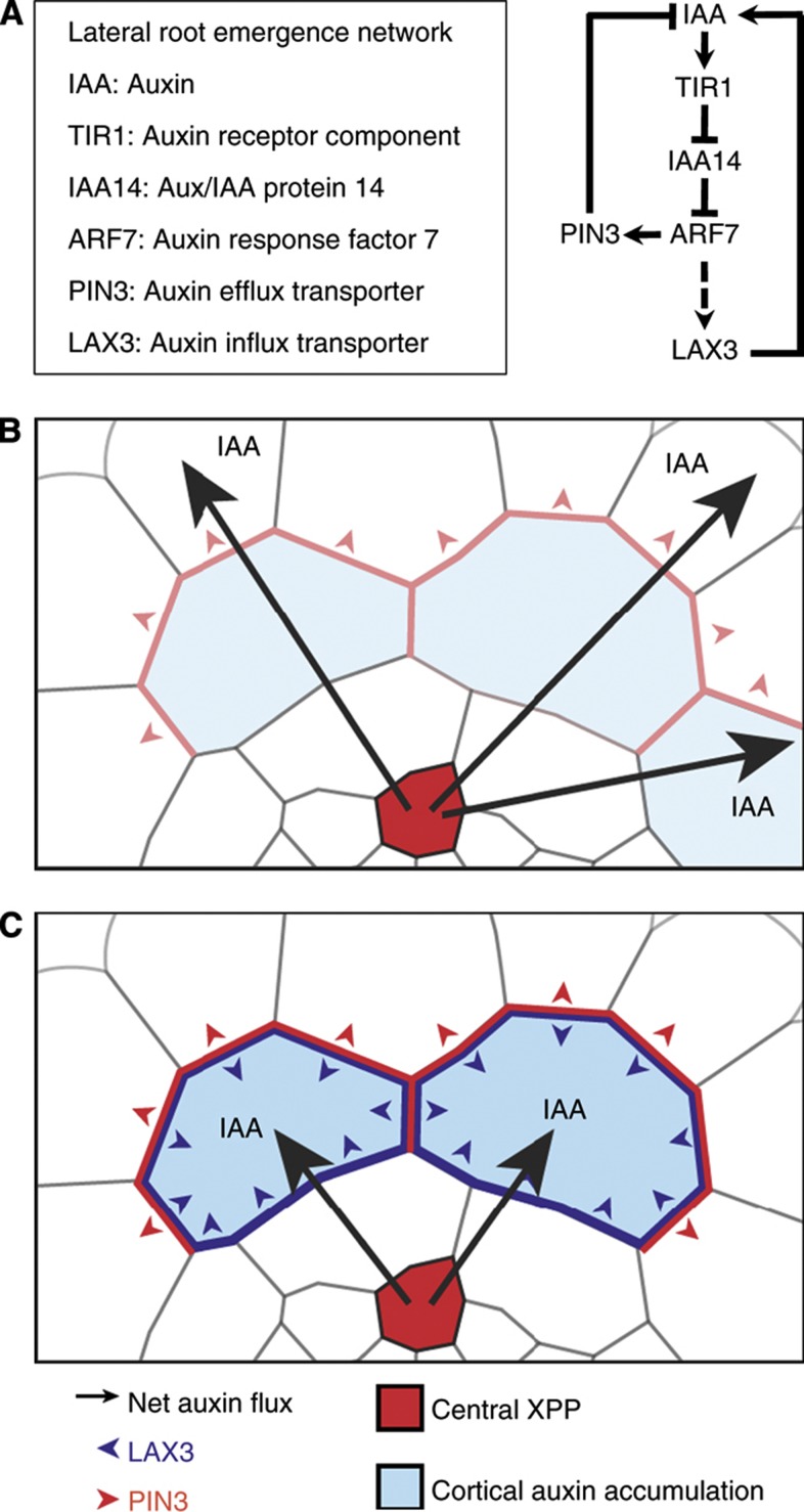 Figure 7