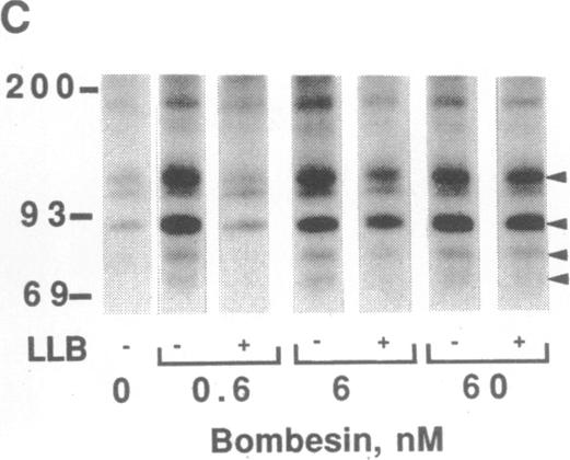 graphic file with name pnas01061-0026-a.jpg