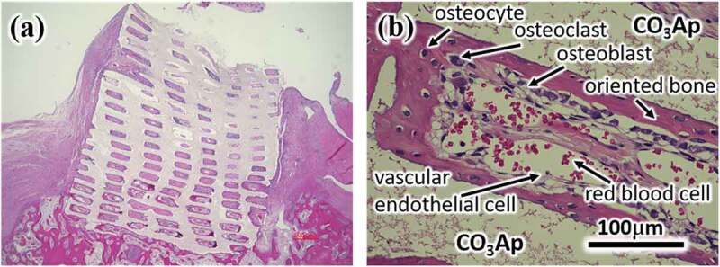 Figure 10.