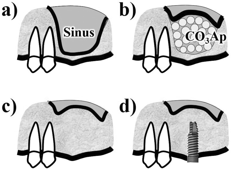 Figure 7.