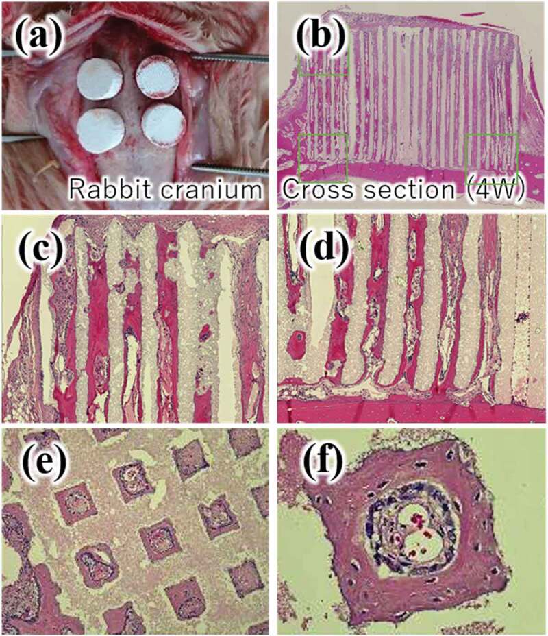 Figure 11.