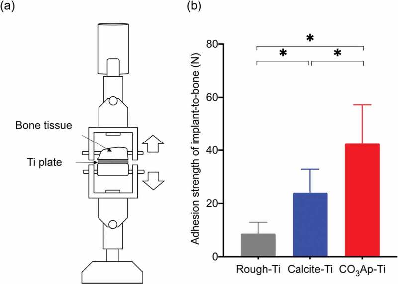 Figure 16.