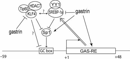 Figure 7.