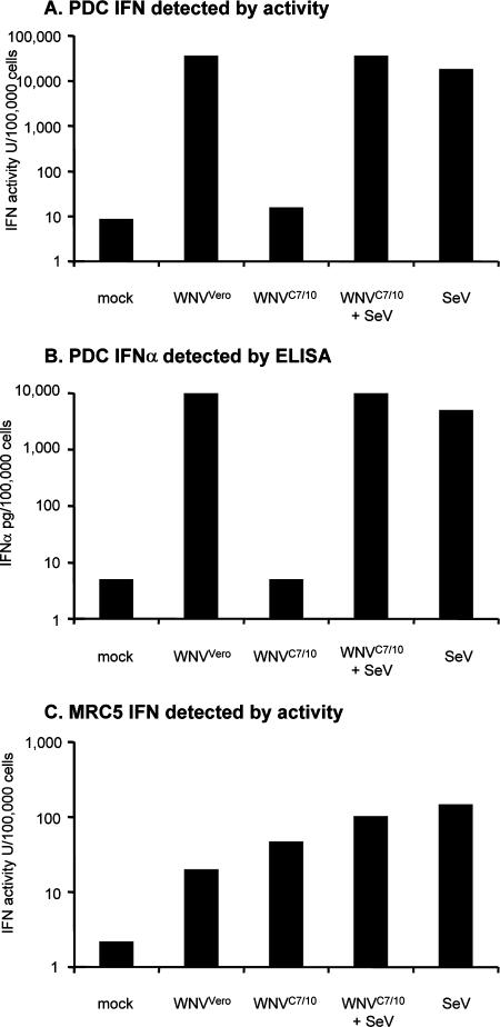 FIG. 6.