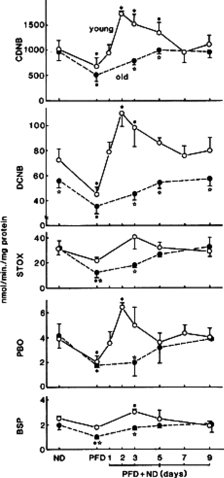 Fig. 4