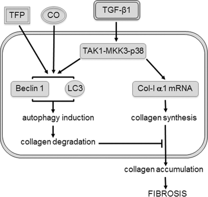 FIGURE 9.